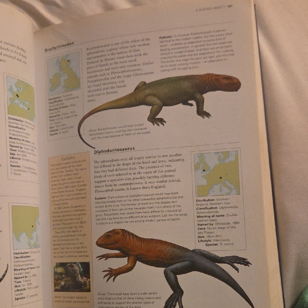 The World Encyclopedia of Dinosaurs & Prehistoric Creatures Book - Picture 15 of 16